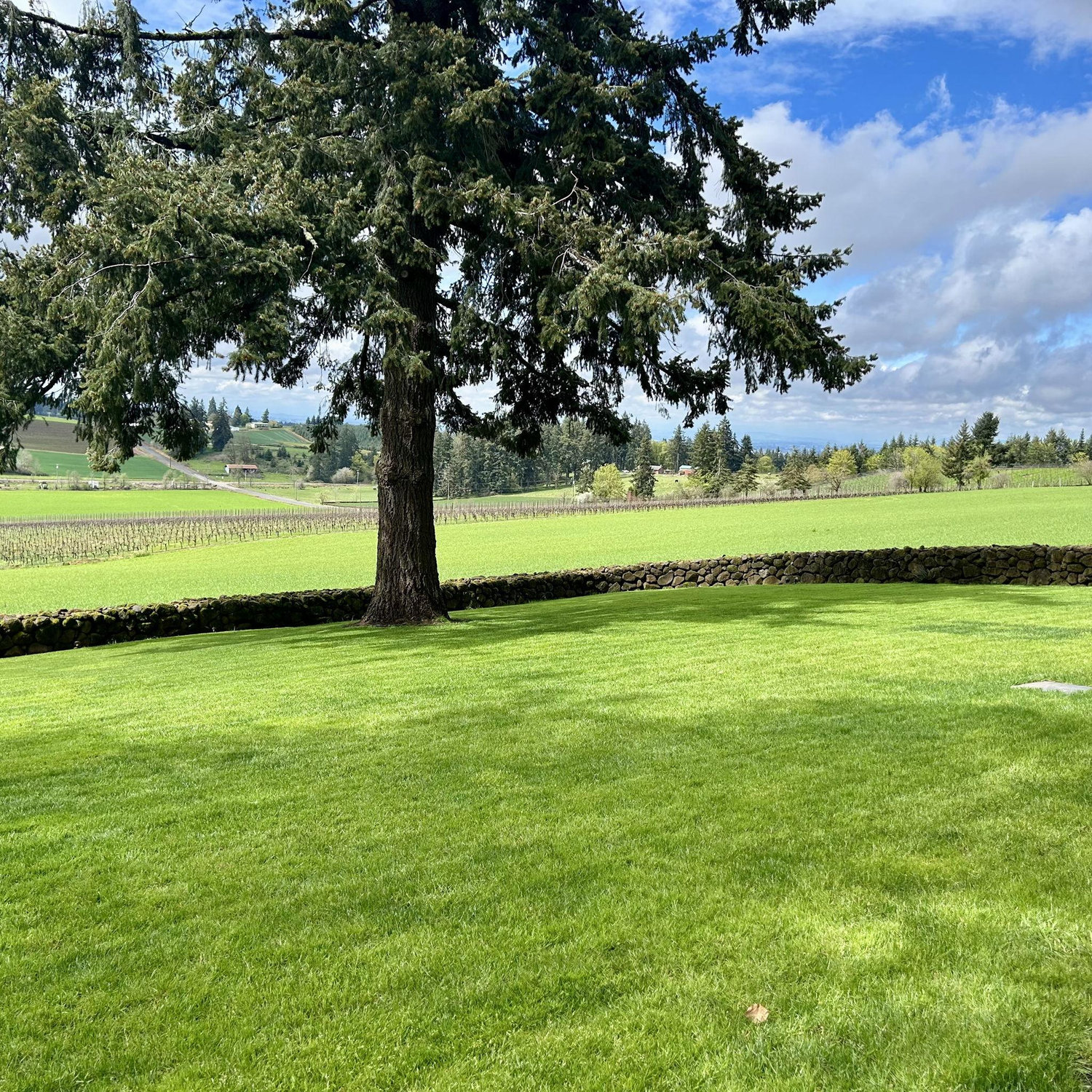 Ceremony location.