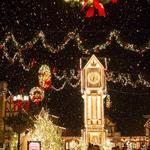 Busch Gardens Christmas Town