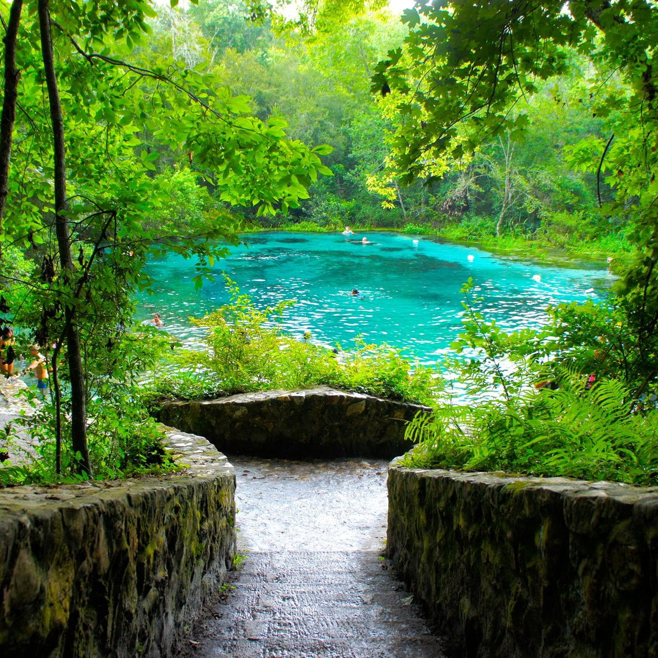 Ichetucknee Springs โจ
Located about 8 mins away from the Airbnb!