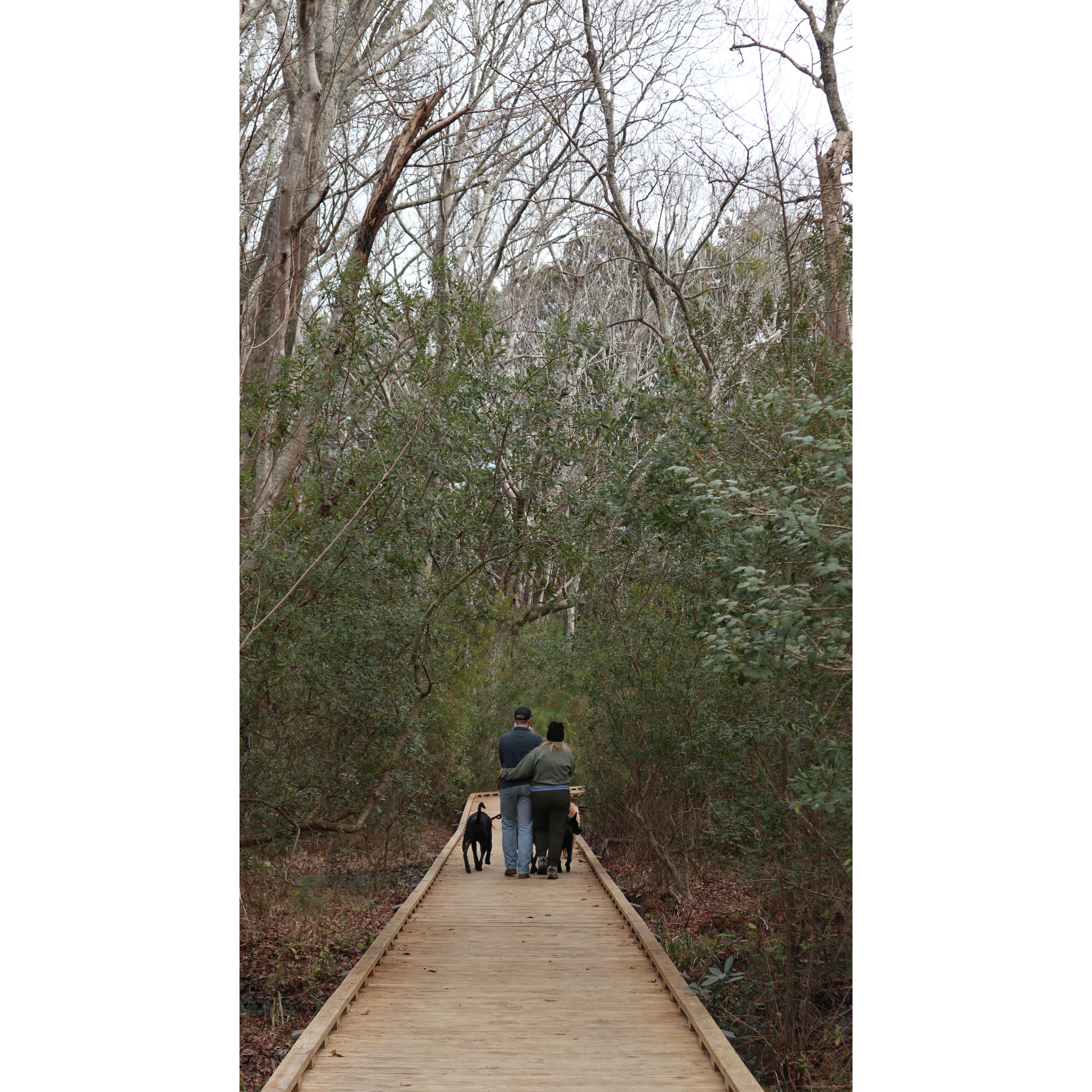 My cousin took this photo of us on a walk around Christmas time :)