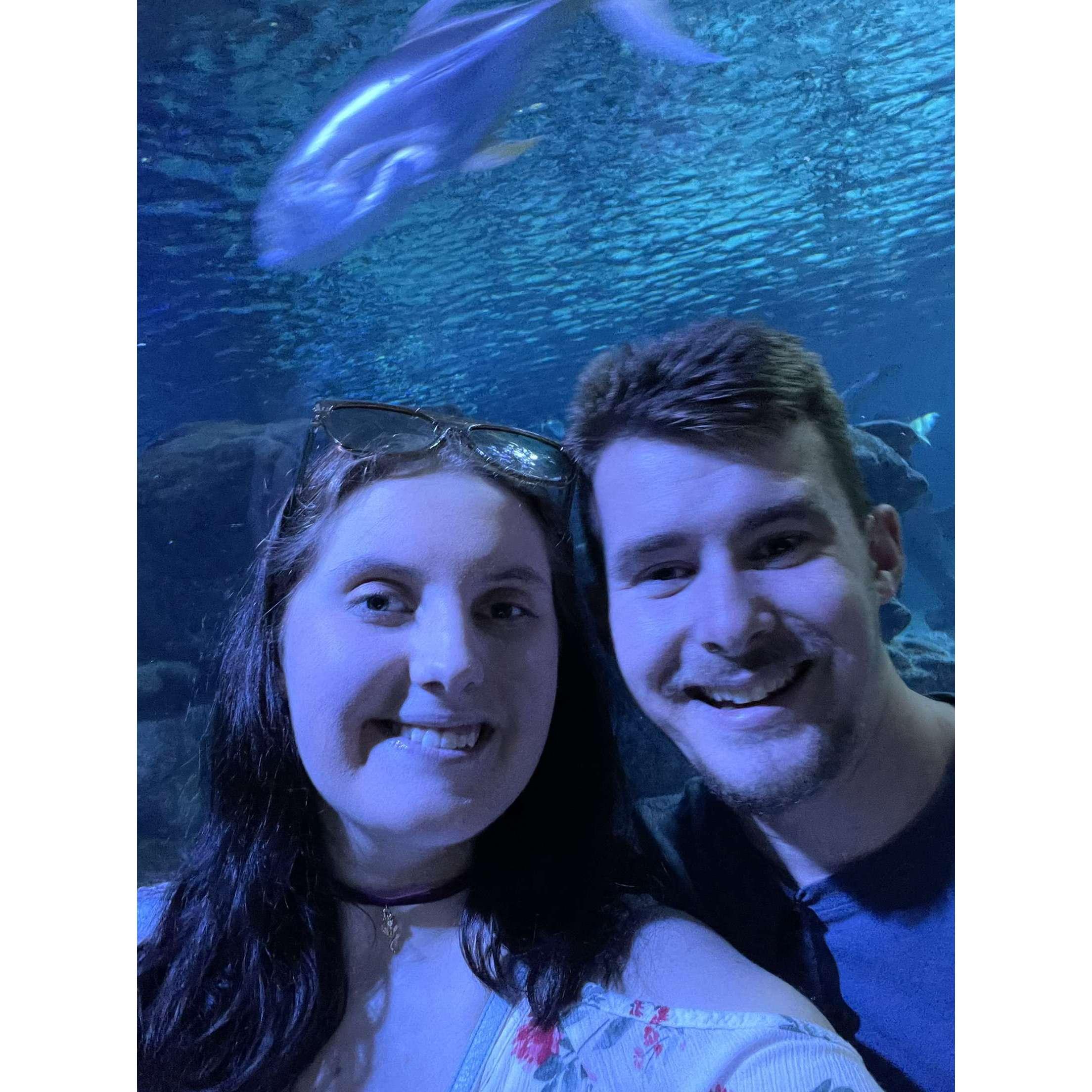 First aquarium together