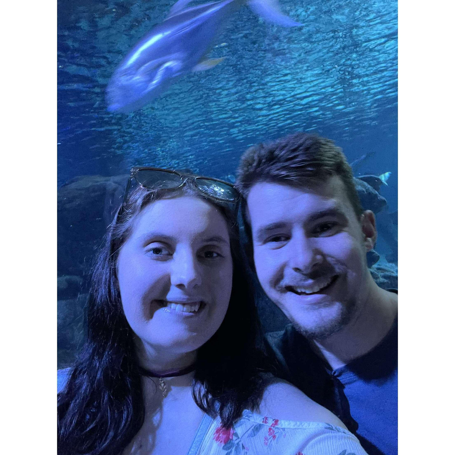 First aquarium together