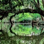 Koreshan State Park