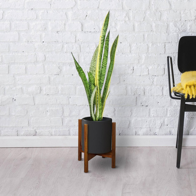 Wooden Plant Stand (Fit Up To 10") Antique Mahogany - Flora Home