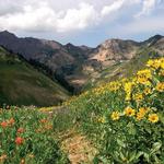 Little Cottonwood Canyon