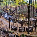 Falling Waters Preserve