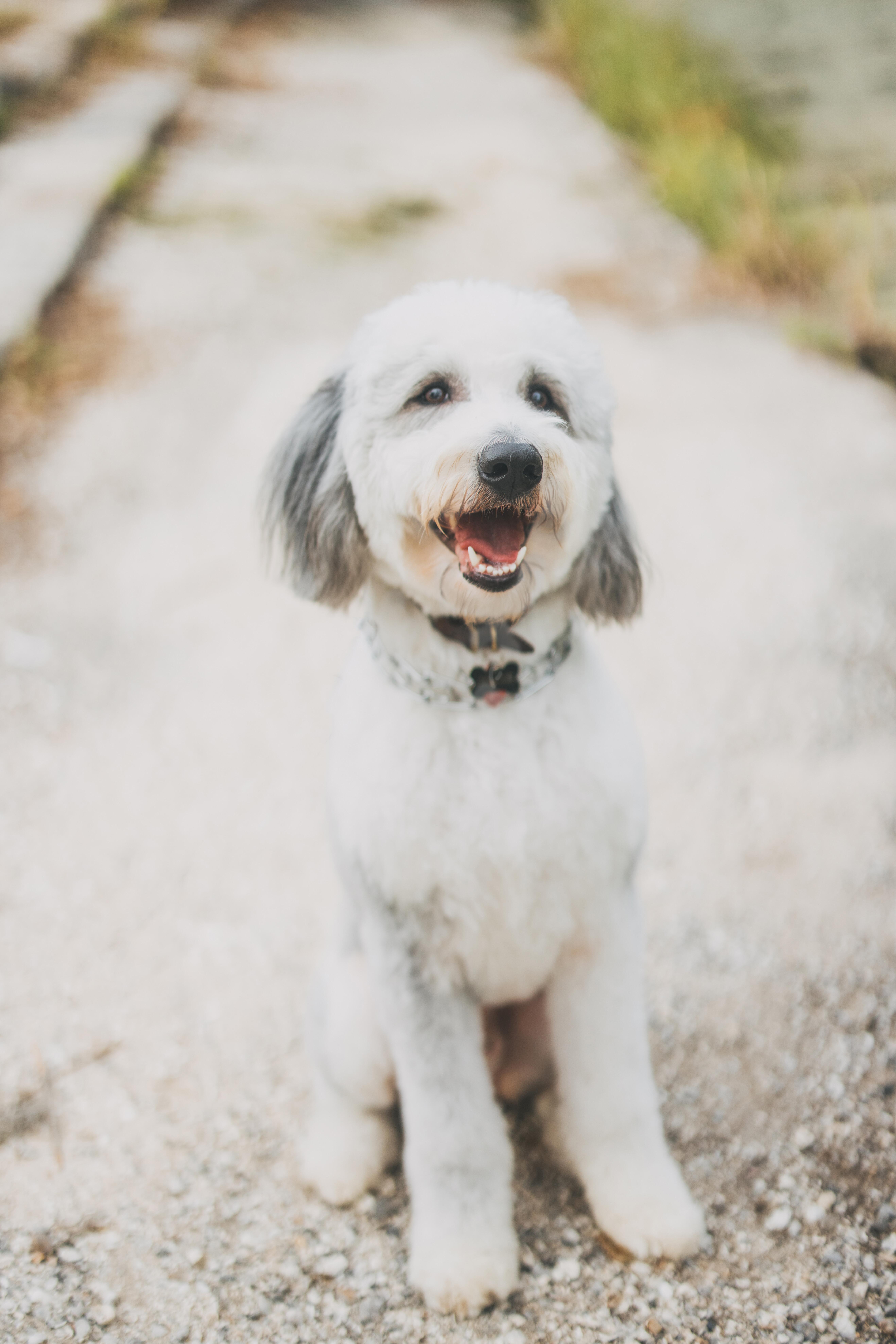 The Wedding Website of Colleen Schilling and Zachary Tassin
