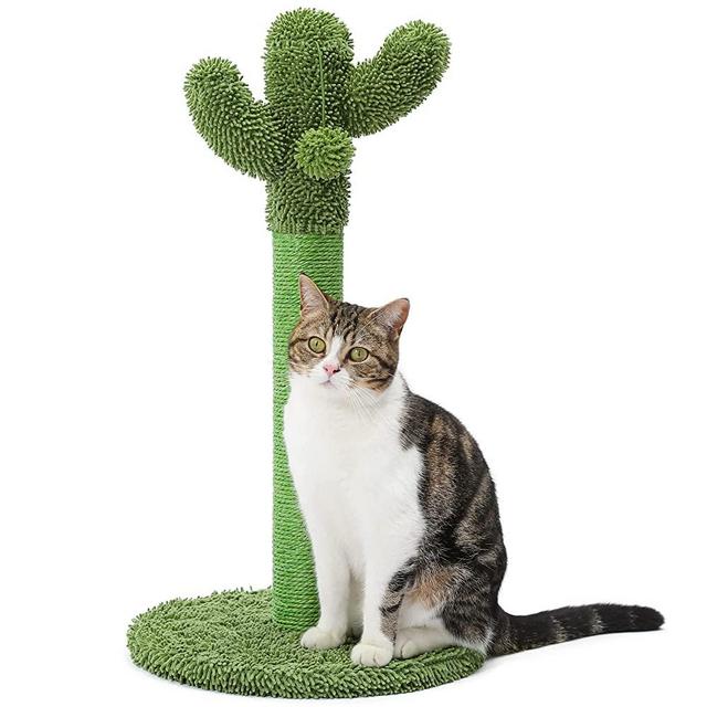 Made4Pets Cat Scratching Post, Cactus Cat Scratcher Kitten Scratch Pole with Natural Sisal Rope for Indoor Cats Claw Scratcher, Cute Green Cat Tree with Dangling Balls for Kitties