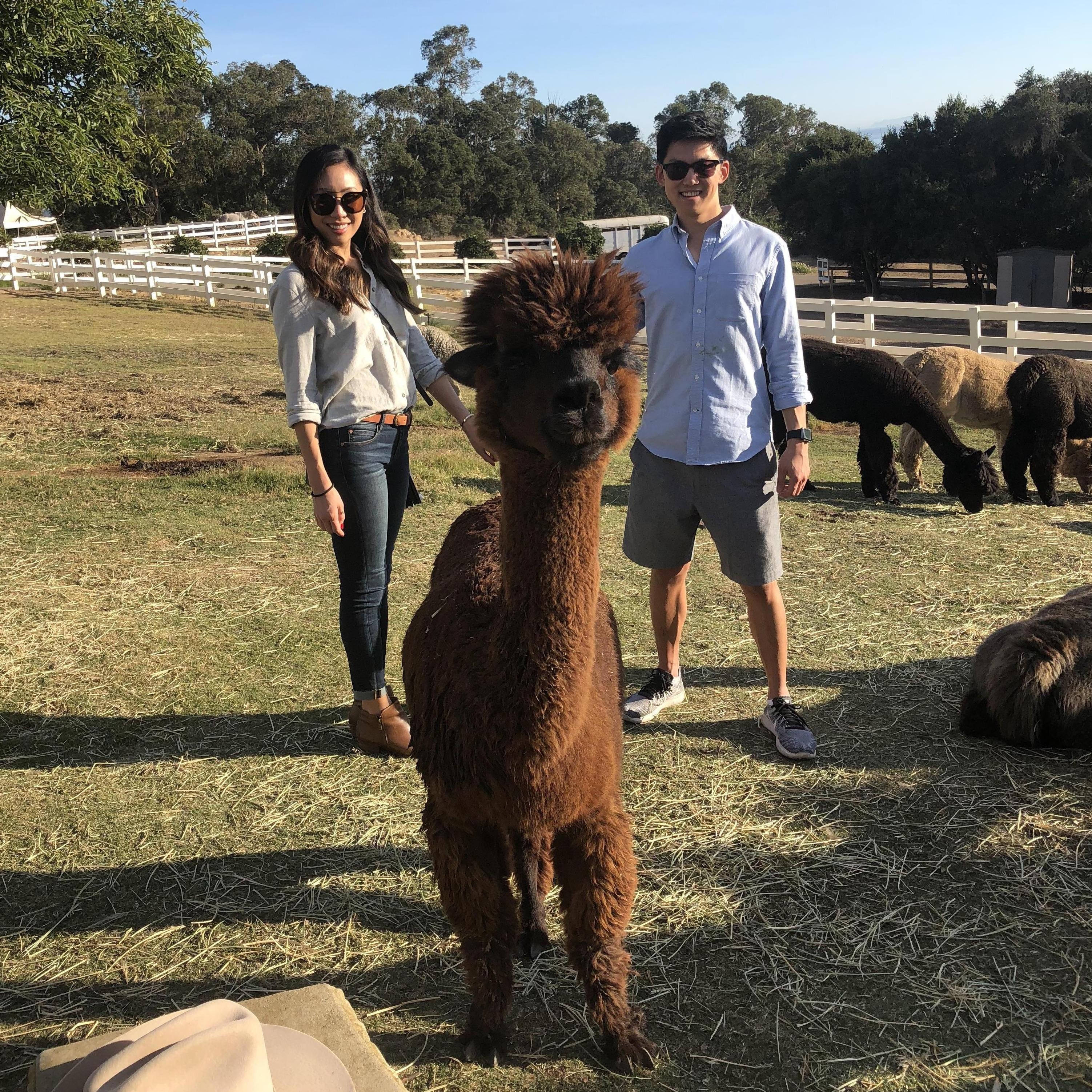 Makin' friends