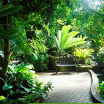 Garfield Park Conservatory