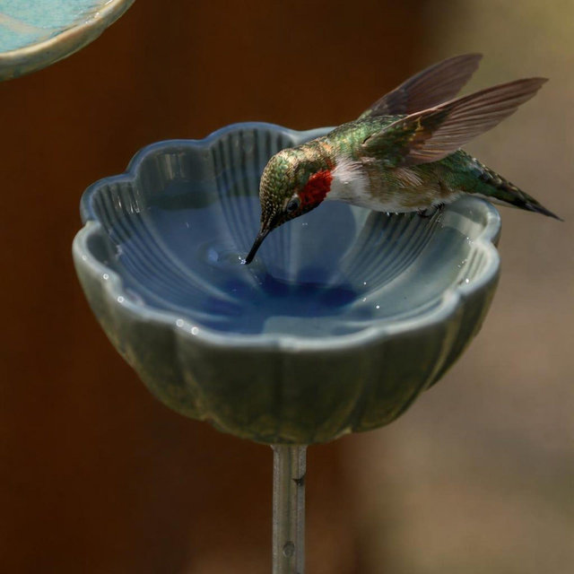 Handmade Ceramic Bird Feeder | Glazed Porcelain Garden Decor
