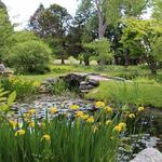 Blithewold Manor, Gardens & Arboretum