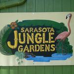 Sarasota Jungle Gardens