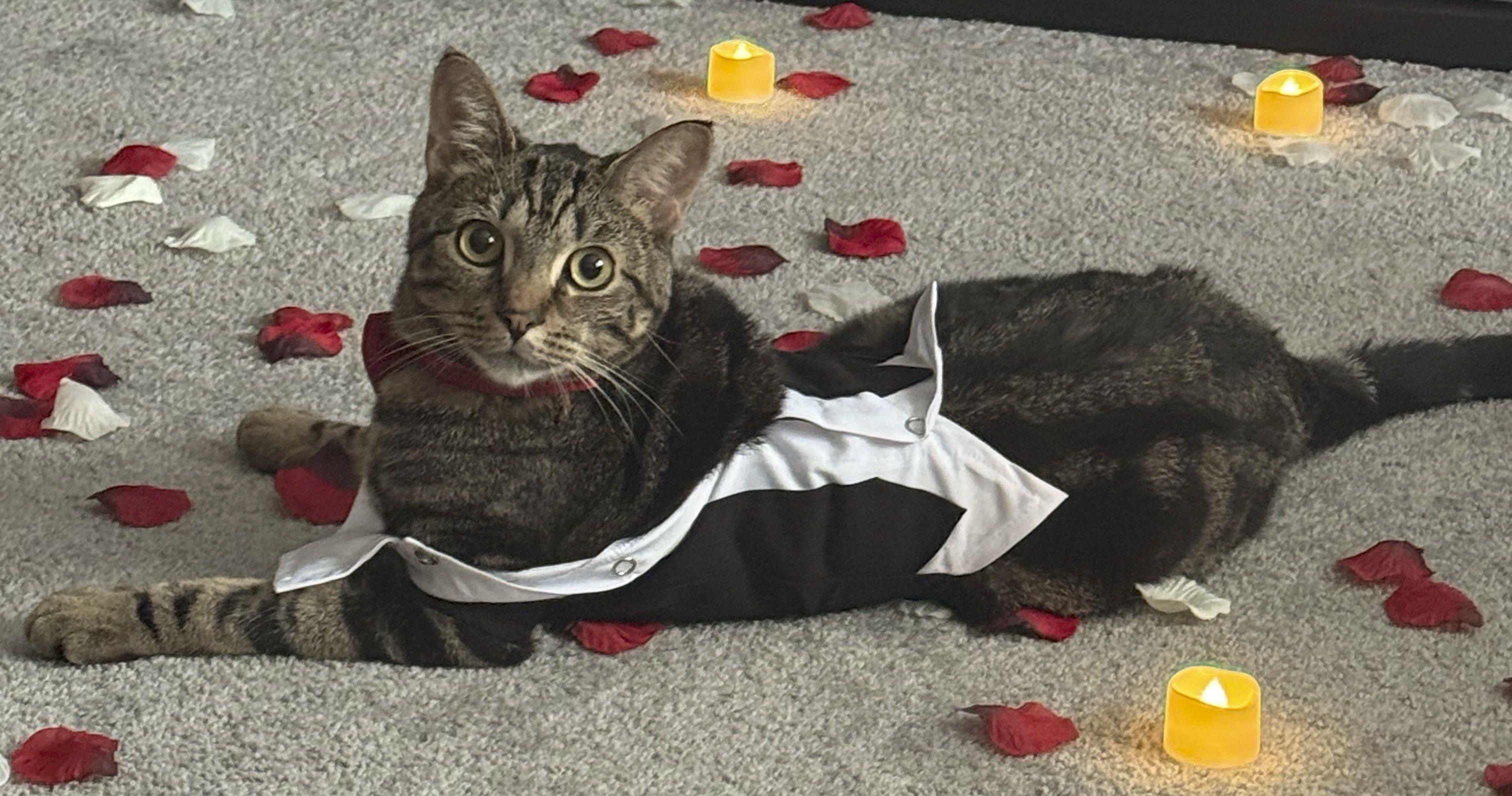 The Wedding Website of Rita Kopczynski and Robert Fox