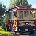 Napa Wine Tours