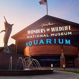 Wonders Of Wildlife National Museum & Aquarium