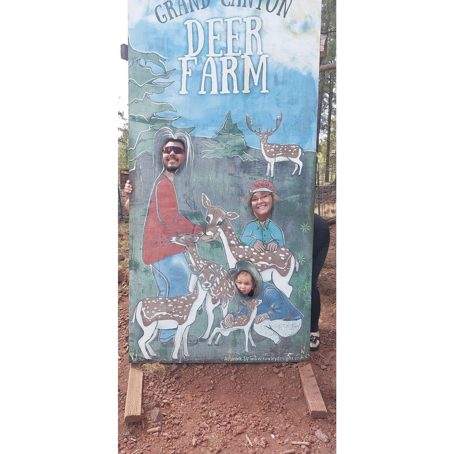 Deer Farm | 2022