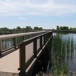 San Luis National Wildlife Refuge - Main Unit