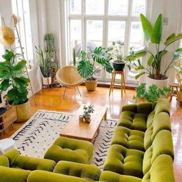 Couch Fund