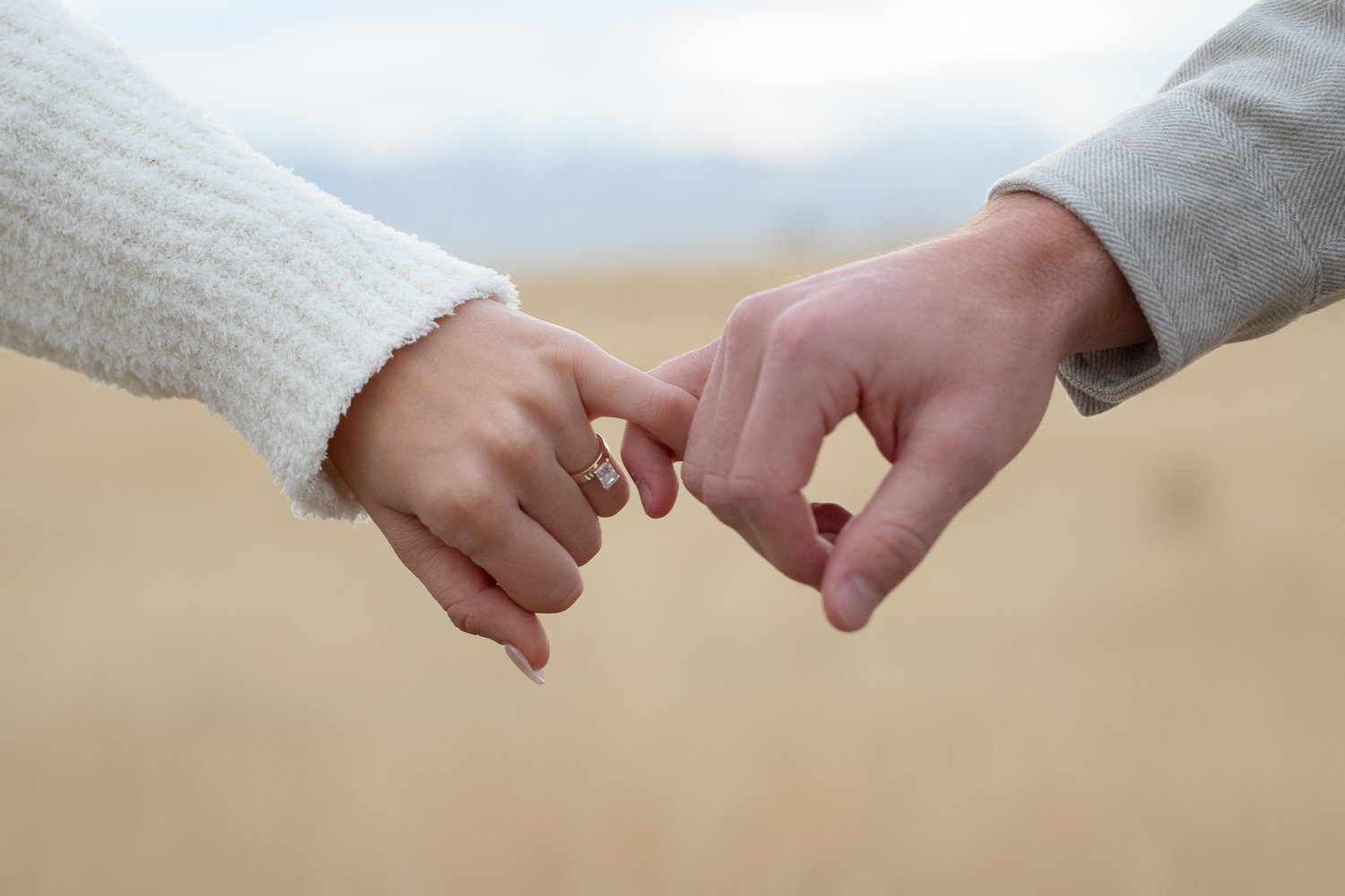 The Wedding Website of Sophia Sharp and Joshua Conover