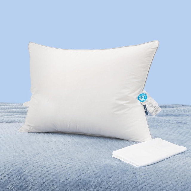 Natural Goose Down Pillows: Luxury Hotel Bed Pillow with 750 Fill Power, White Goose Down Sleeping Pillow with Pillowcase, Soft Pillow for Back, Side, Stomach Sleepers - 1 Pack, Standard (20" x 26")