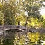 Sycamore Pool/Bidwell Park
