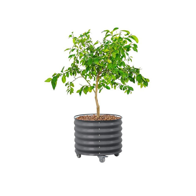 Rolling Metal Citrus Tree Planter Pot, 24″ Round Planter Box for Porch Patio & Backyard, 30 Gallon Large Planter Pot with Wheels for Growing Olive Trees Tomatoes Vegetables and Flowers, Modern Gray