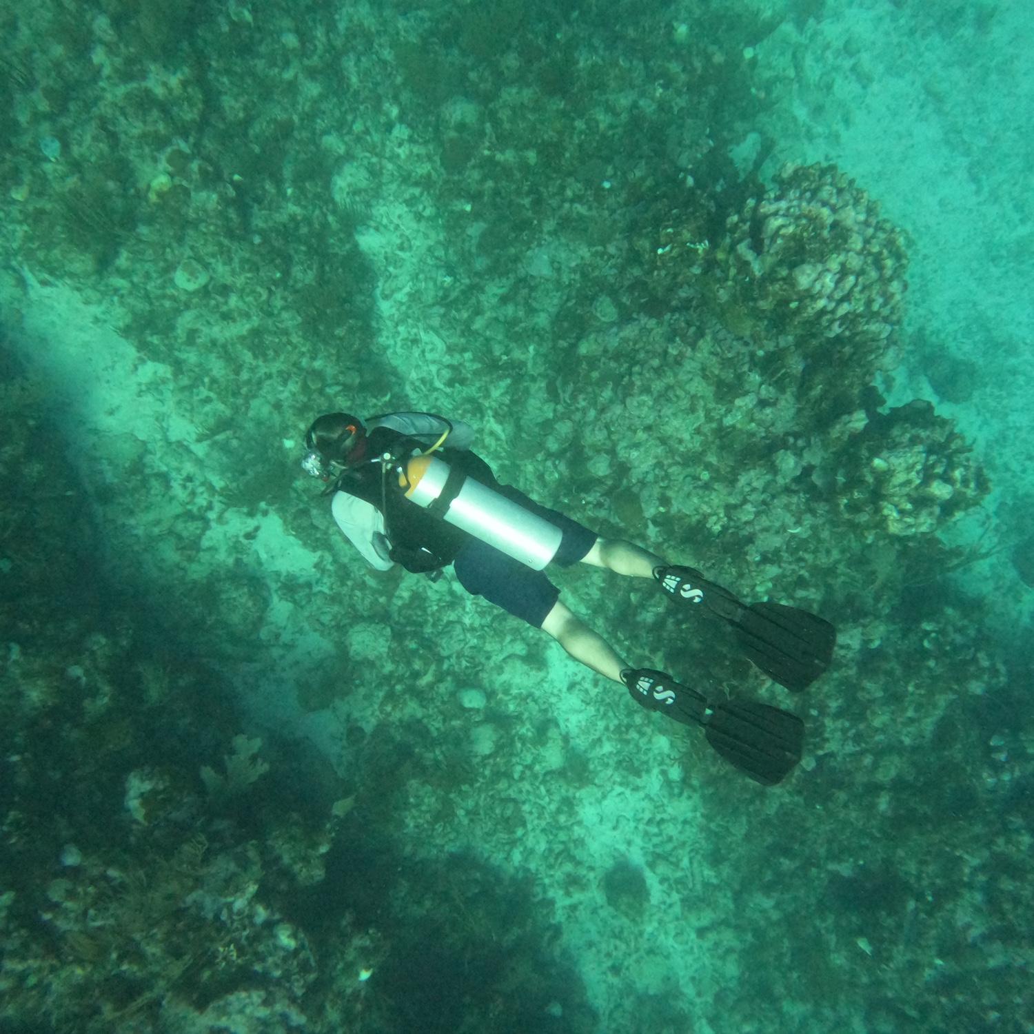 Scuba diving in Belize. January 2024.