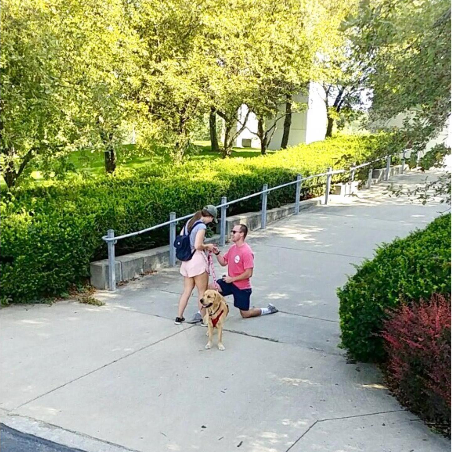 The proposal! Parker proposed on Boomer's 1st birthday walk in Memorial Park, our favorite place to walk together on August 17th, 2019.
