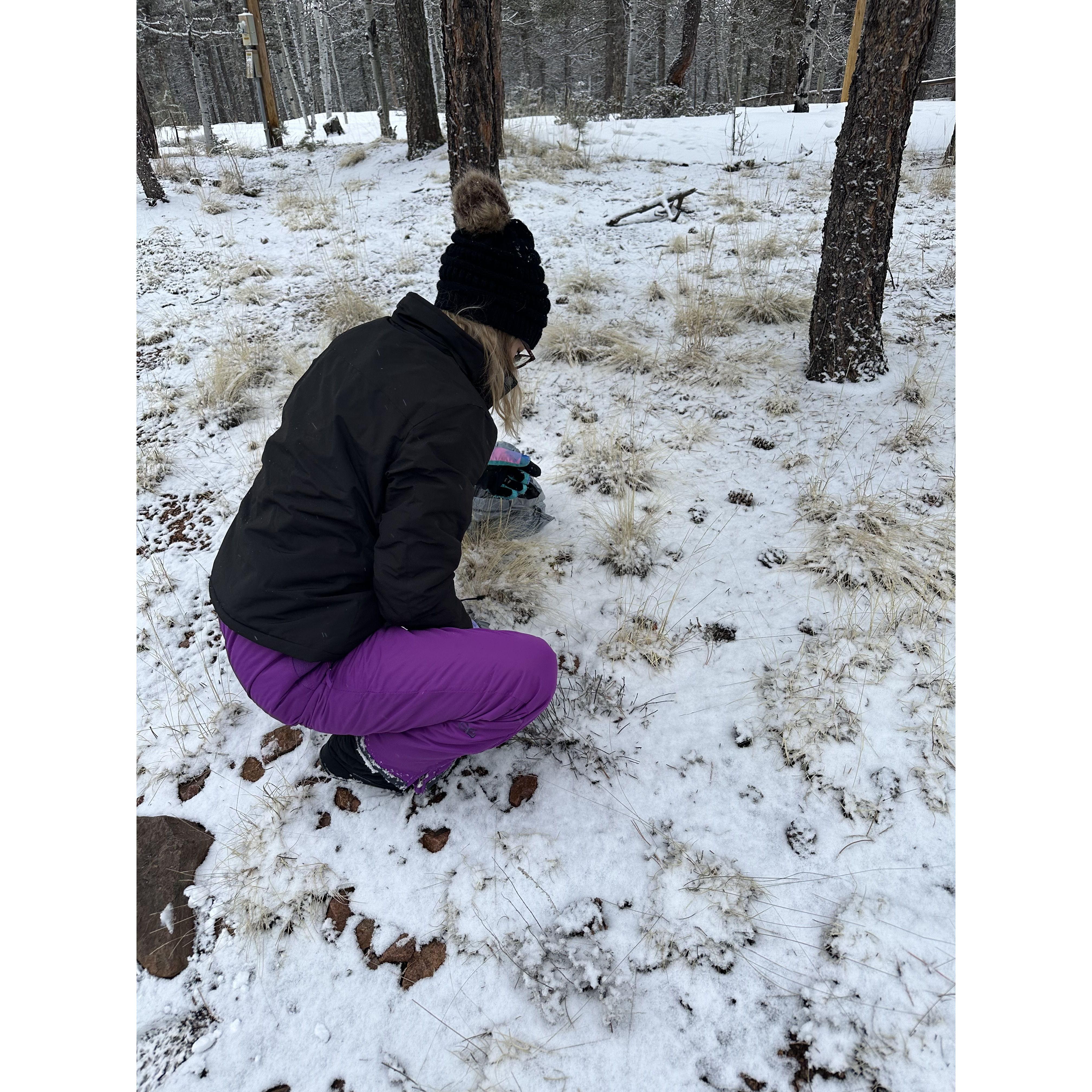 My sister Mandy in Colorado picking out pine cones for the wedding decor!