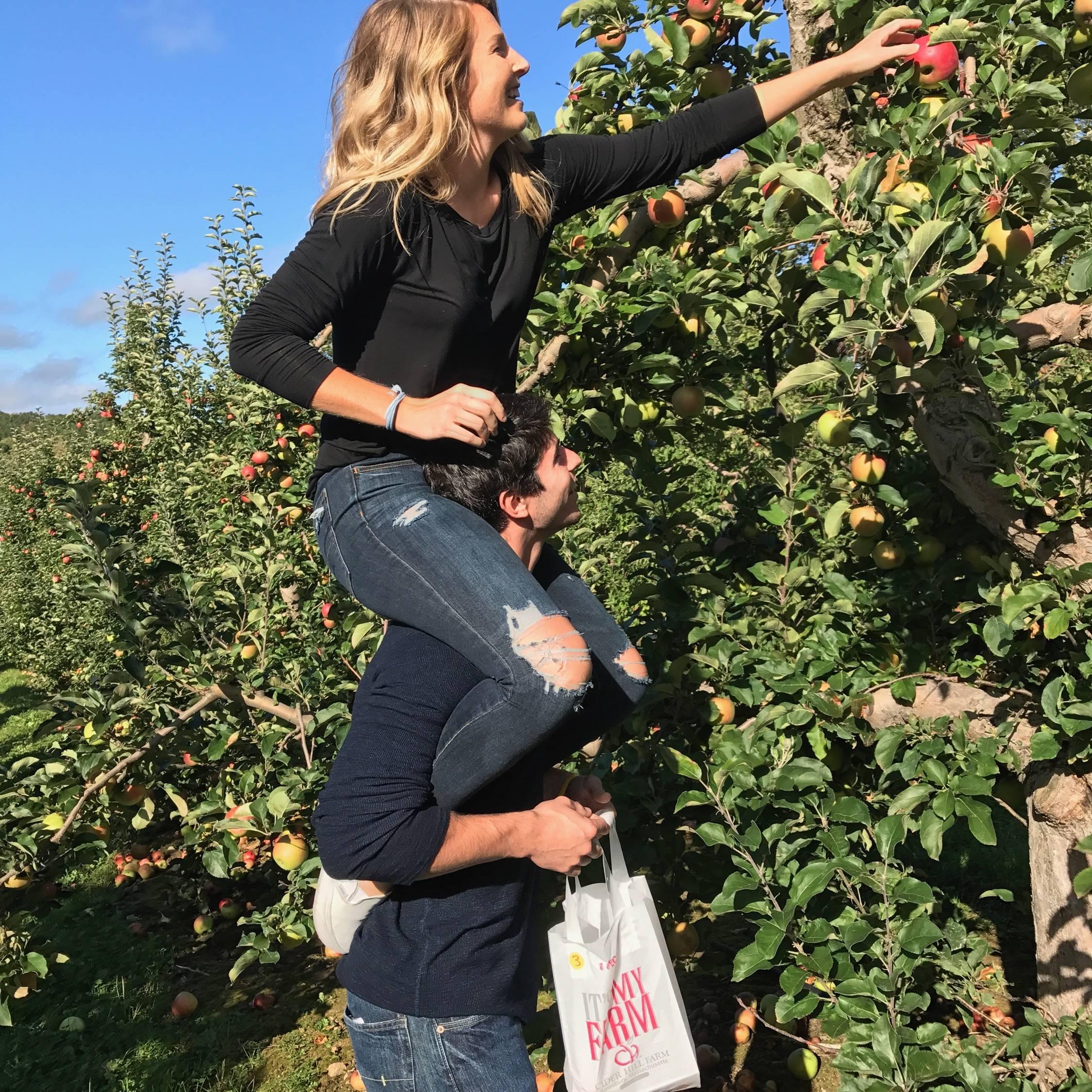 Apple picking 