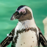 ZooTampa at Lowry Park