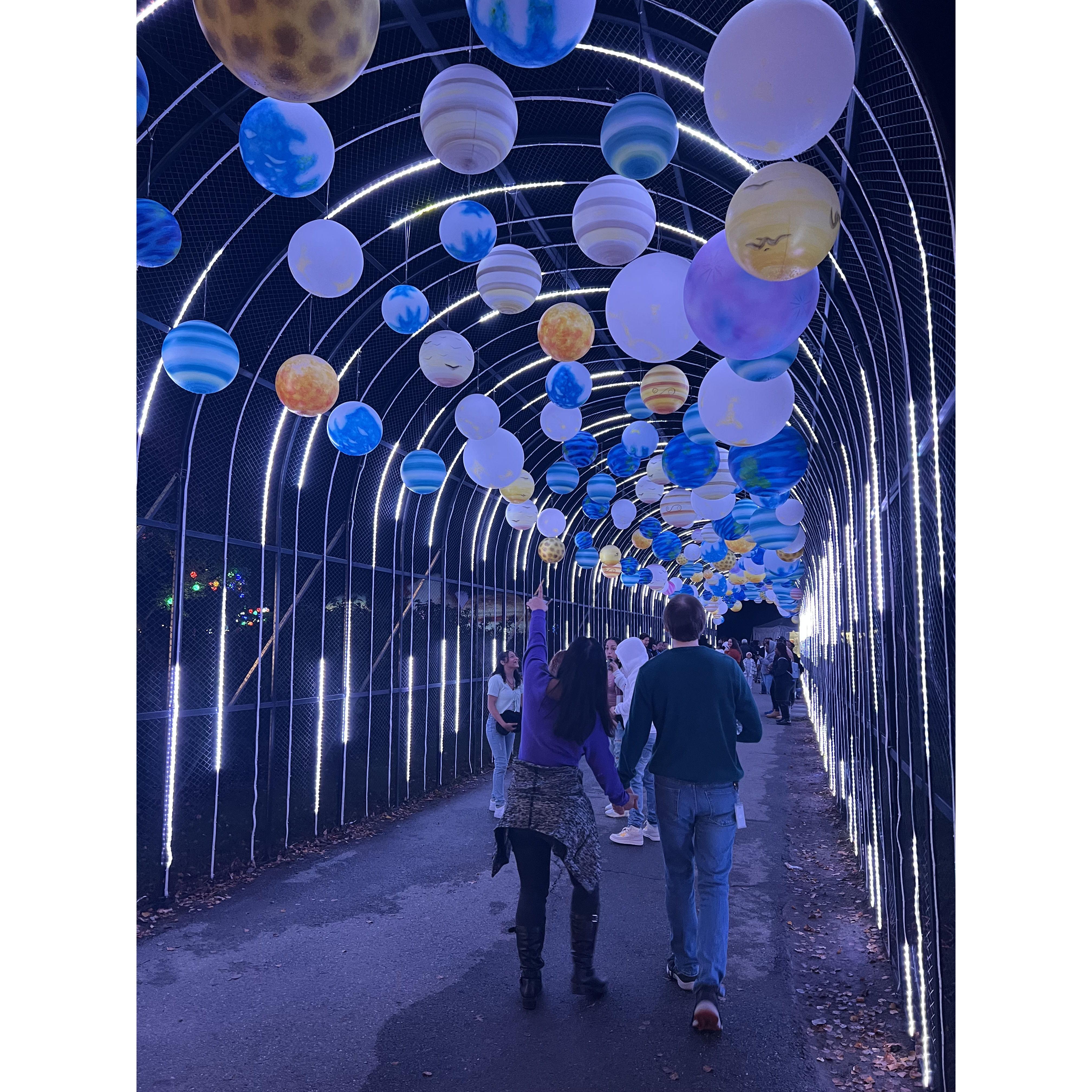 Taken by a friend at the Franklin Zoo light show