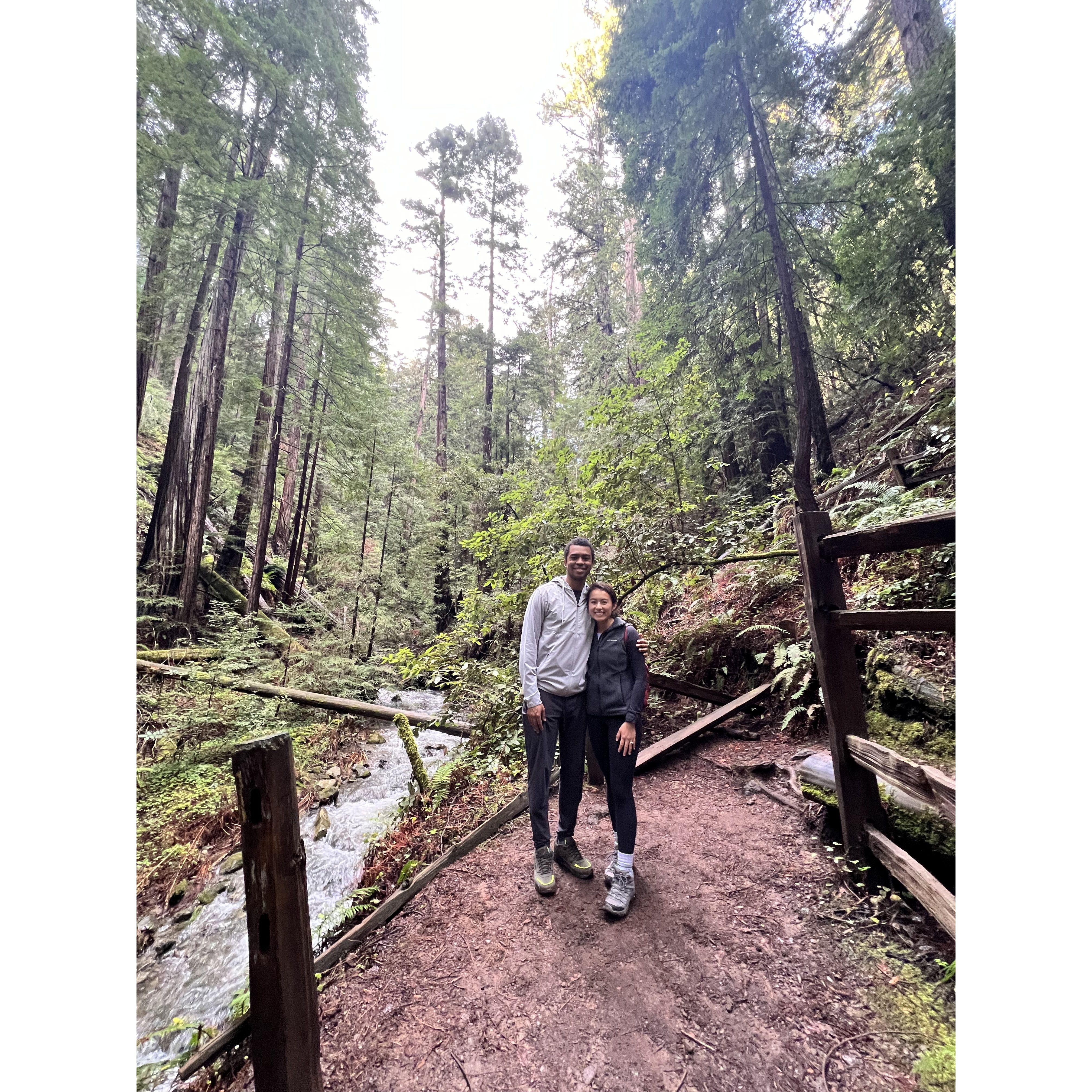 Muir Woods