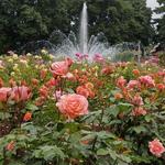 Washington Park