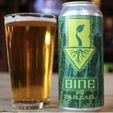 Root Down Brewing Company