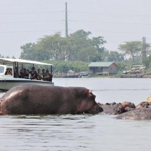 Uganda - Kazinga Channel Boat Tour (pay with credit card)