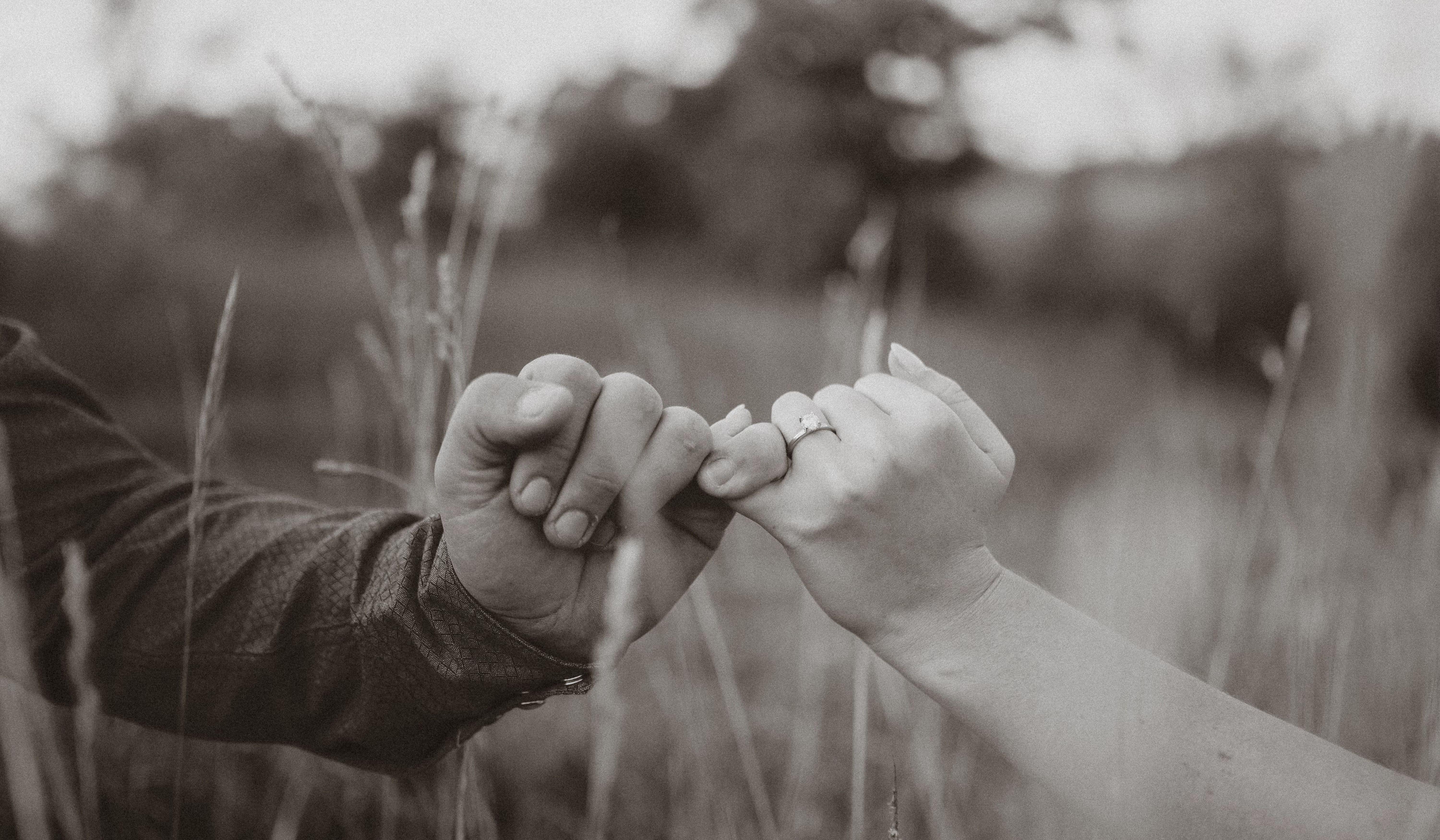 Hero Slideshow Image 3