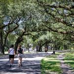 Audubon Park