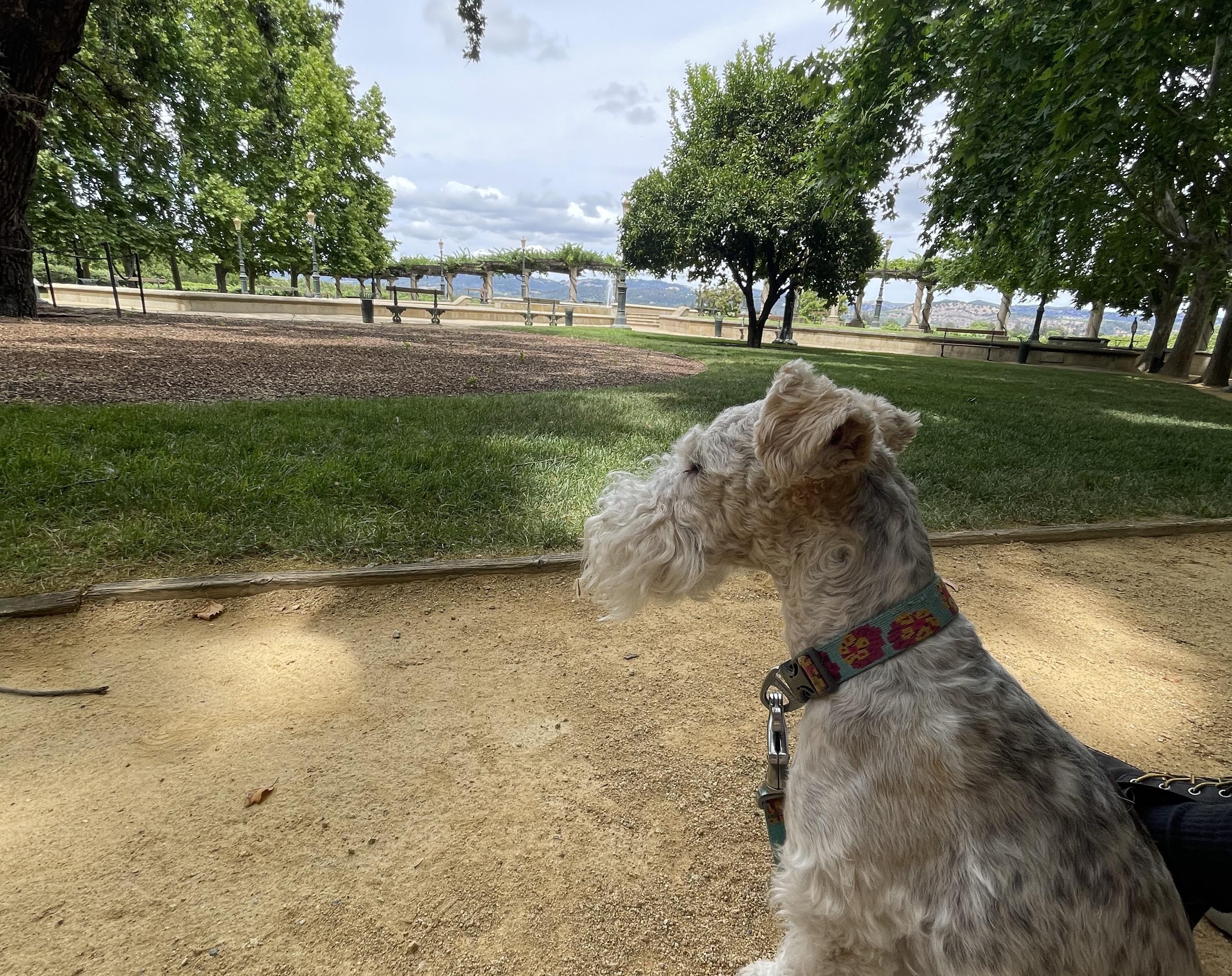 The Wedding Website of Anne Warzecha and Samuel Siffert