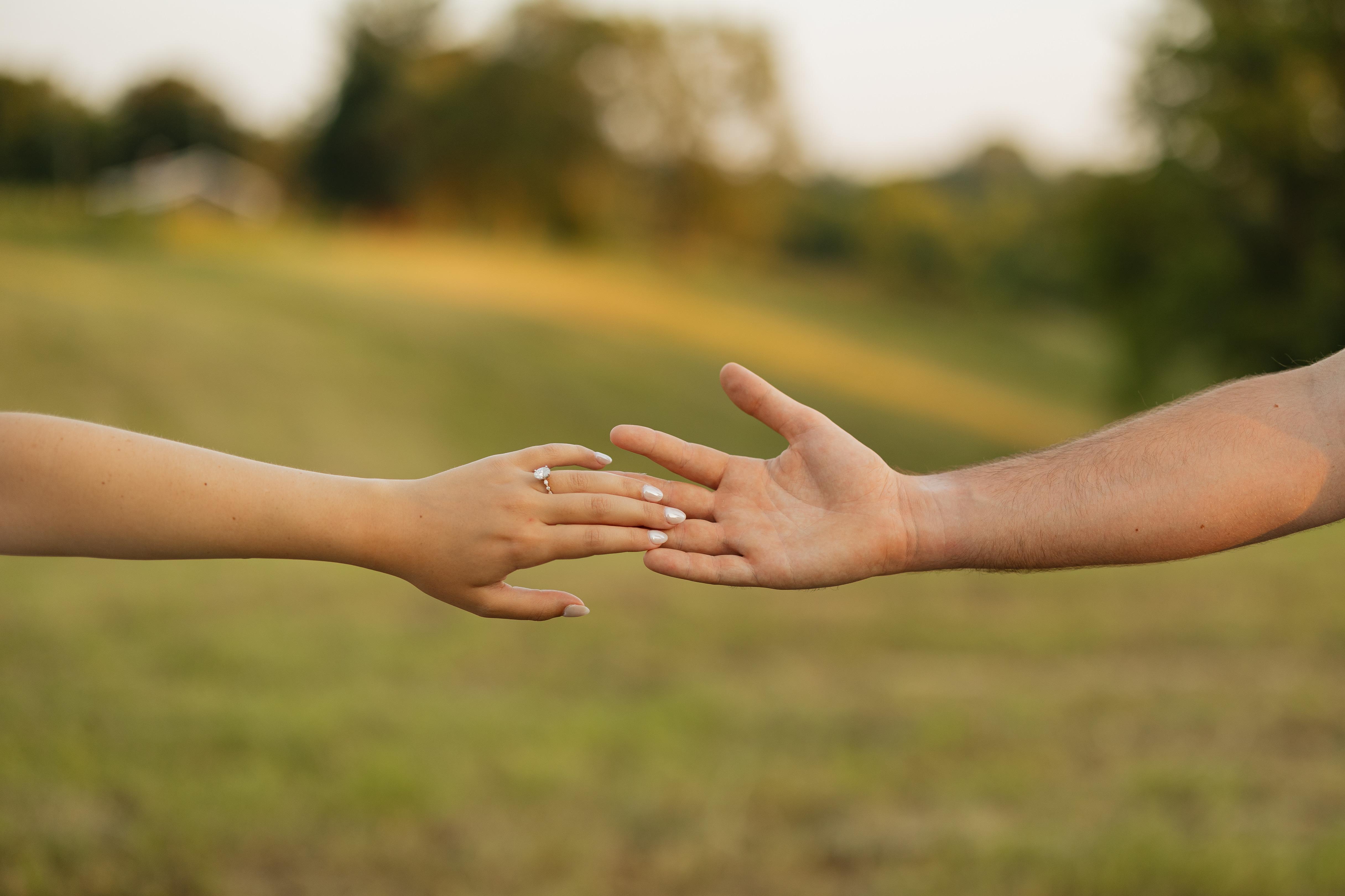 The Wedding Website of Brooklyn Cannon and David Crowe
