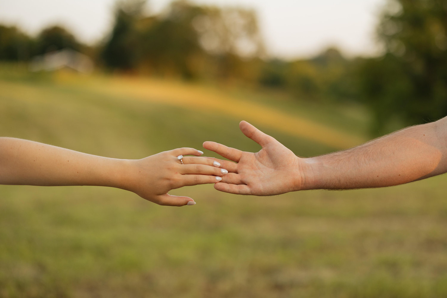 The Wedding Website of Brooklyn Cannon and David Crowe
