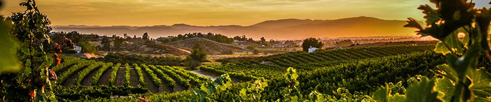 The Wedding Website of Brittany Velasquez and Sean Stanton