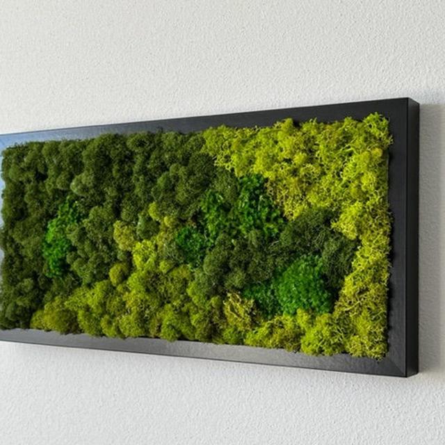 Unique Moss Wall Art - Moss Wall Art Frame...