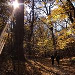 Inwood Hill Park