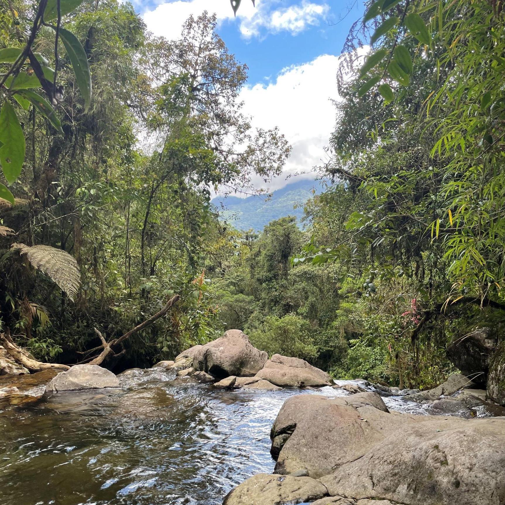 Boquete, Panama. May 2021.