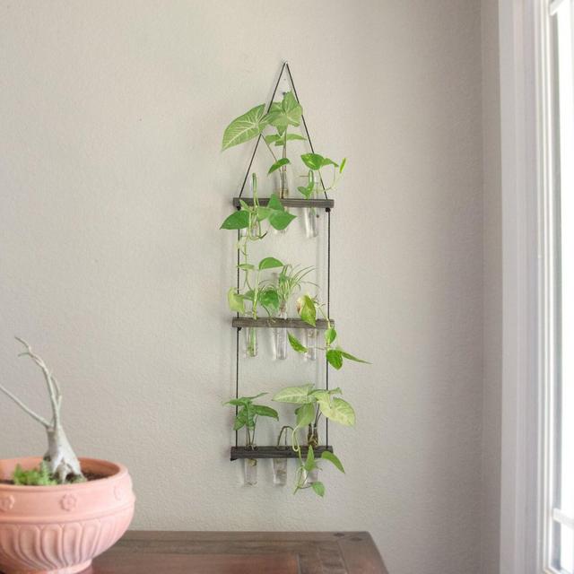 Hanging Ladder Propagation Station | Three Tier Tube Vase Display