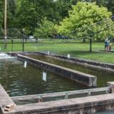 The Fish Hatchery at Powder Mills Park