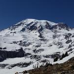 Mount Rainier National Park