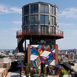 Arlo Williamsburg
